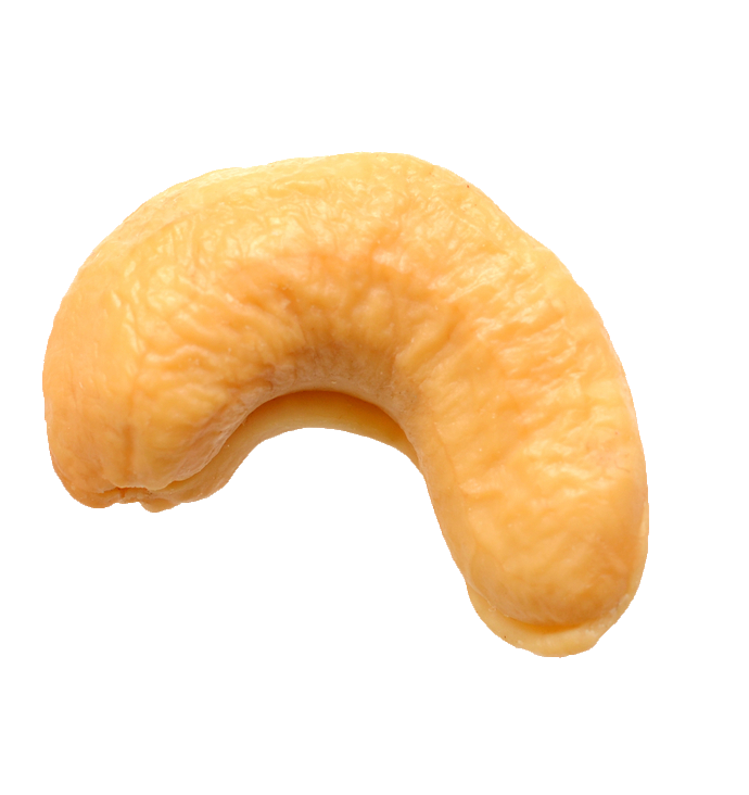 Transparent One Cashew Nut PNG