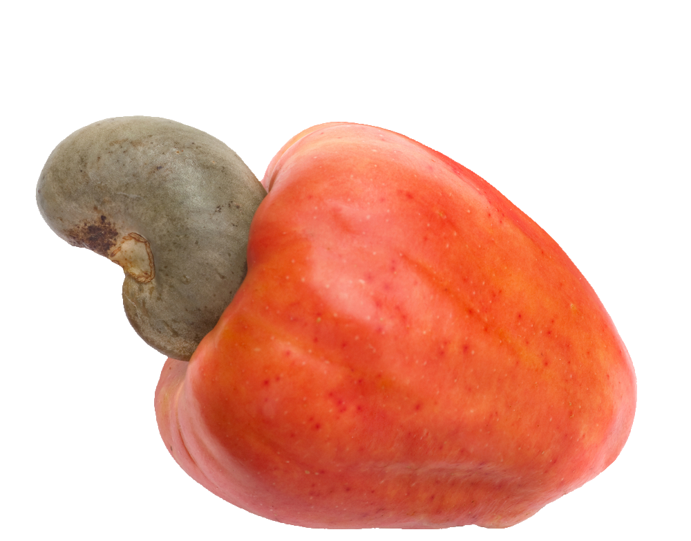 Cashew Nut Fruit PNG
