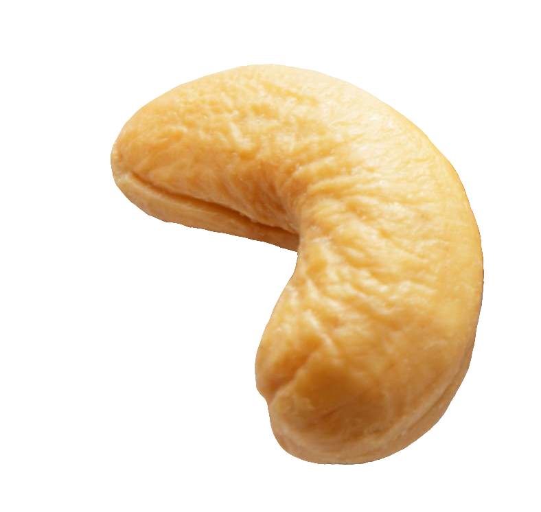 cashew-32