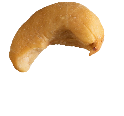 cashew-33