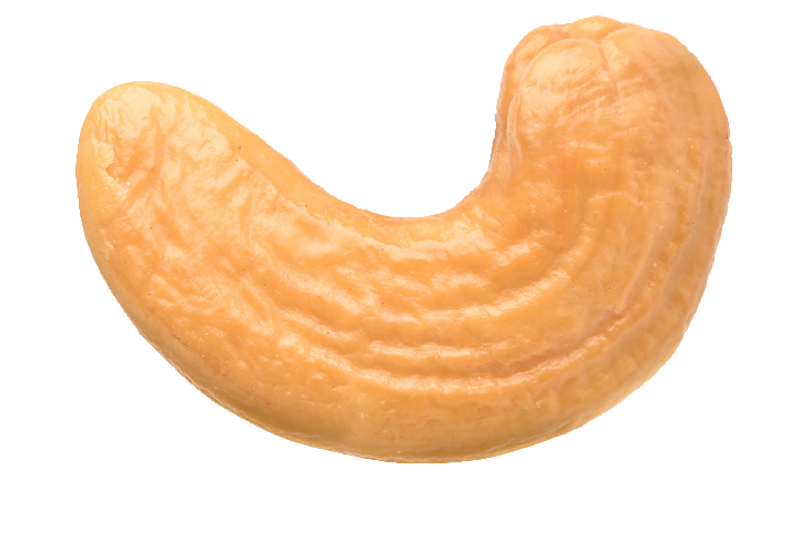 One Cashew Nut PNG