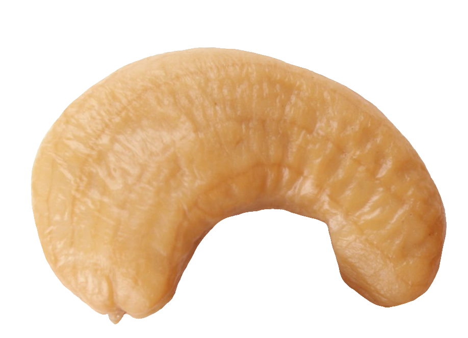 cashew-38