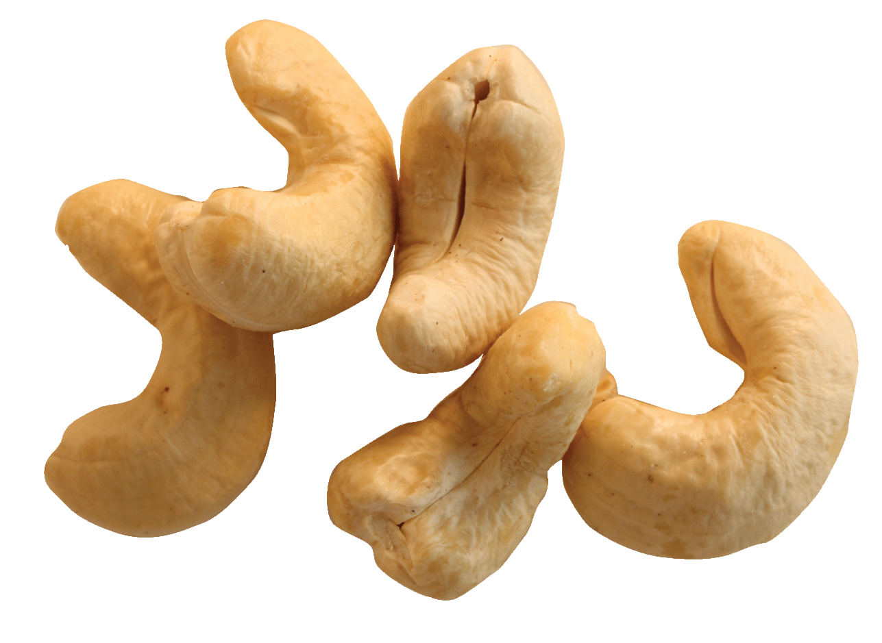 cashew-47