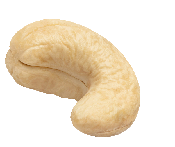 cashew-9