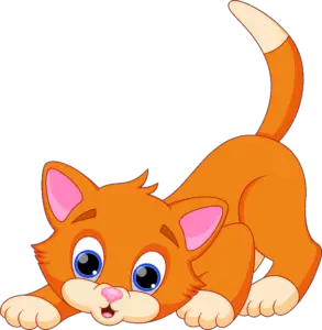 cat clipart png