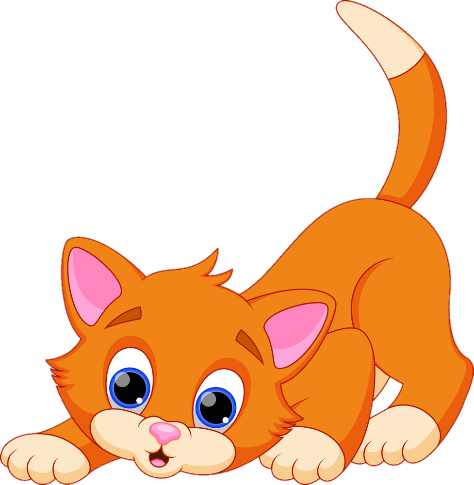 Orange Cat Clipart Png