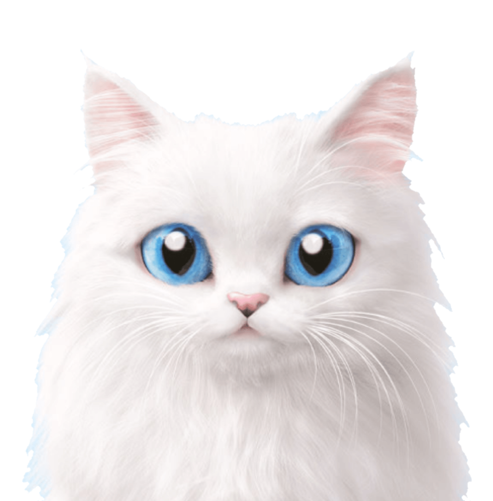 Grumpy Cat Face Png