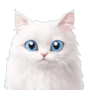 White Cat Png