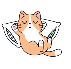 Sleeping cat png sticker