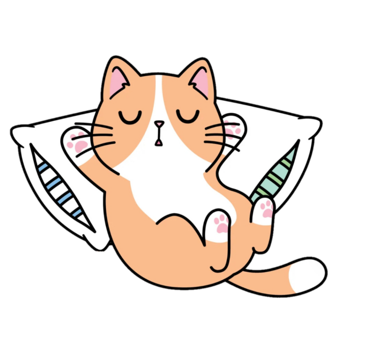 Cat PNG Images free Download - Pngfre