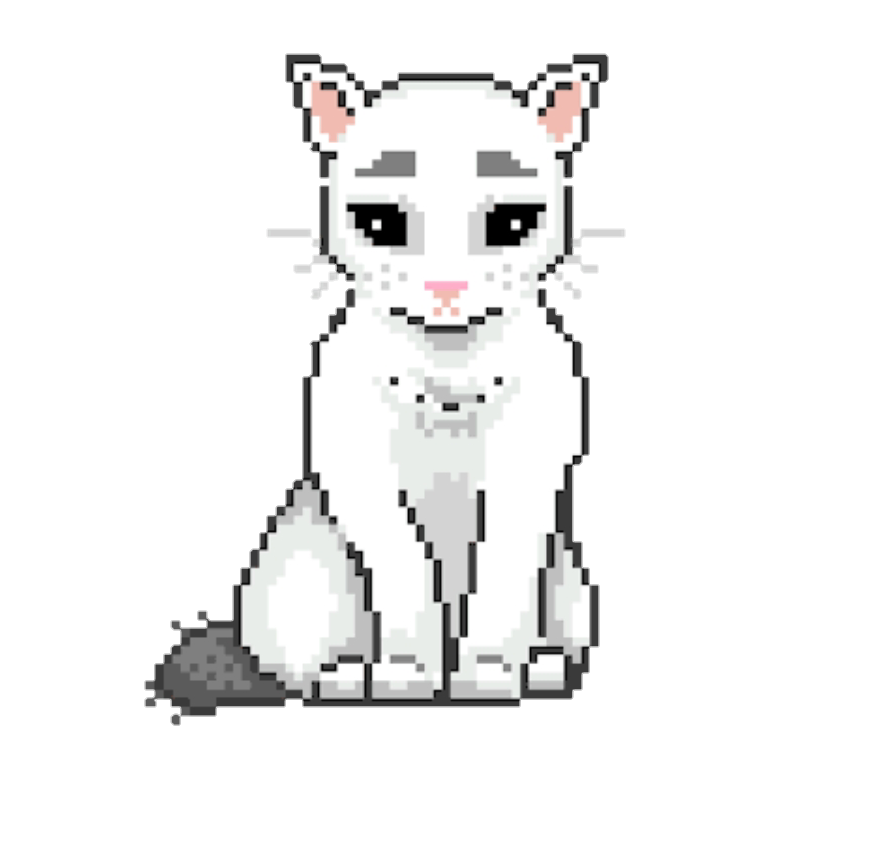 Cat Png Pixel
