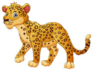 Cheetah clipart PNG