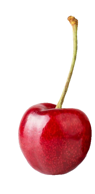Single Cherry PNG Image
