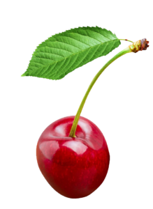 cherry-19