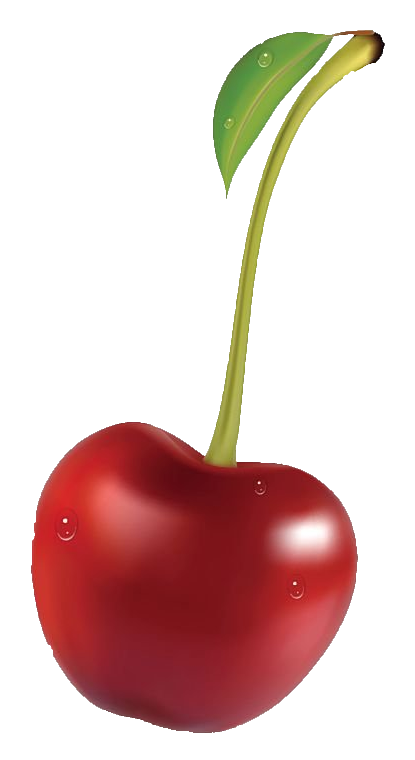 Single Cherry Fruit Illustration PNG