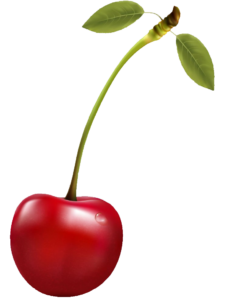 cherry-28