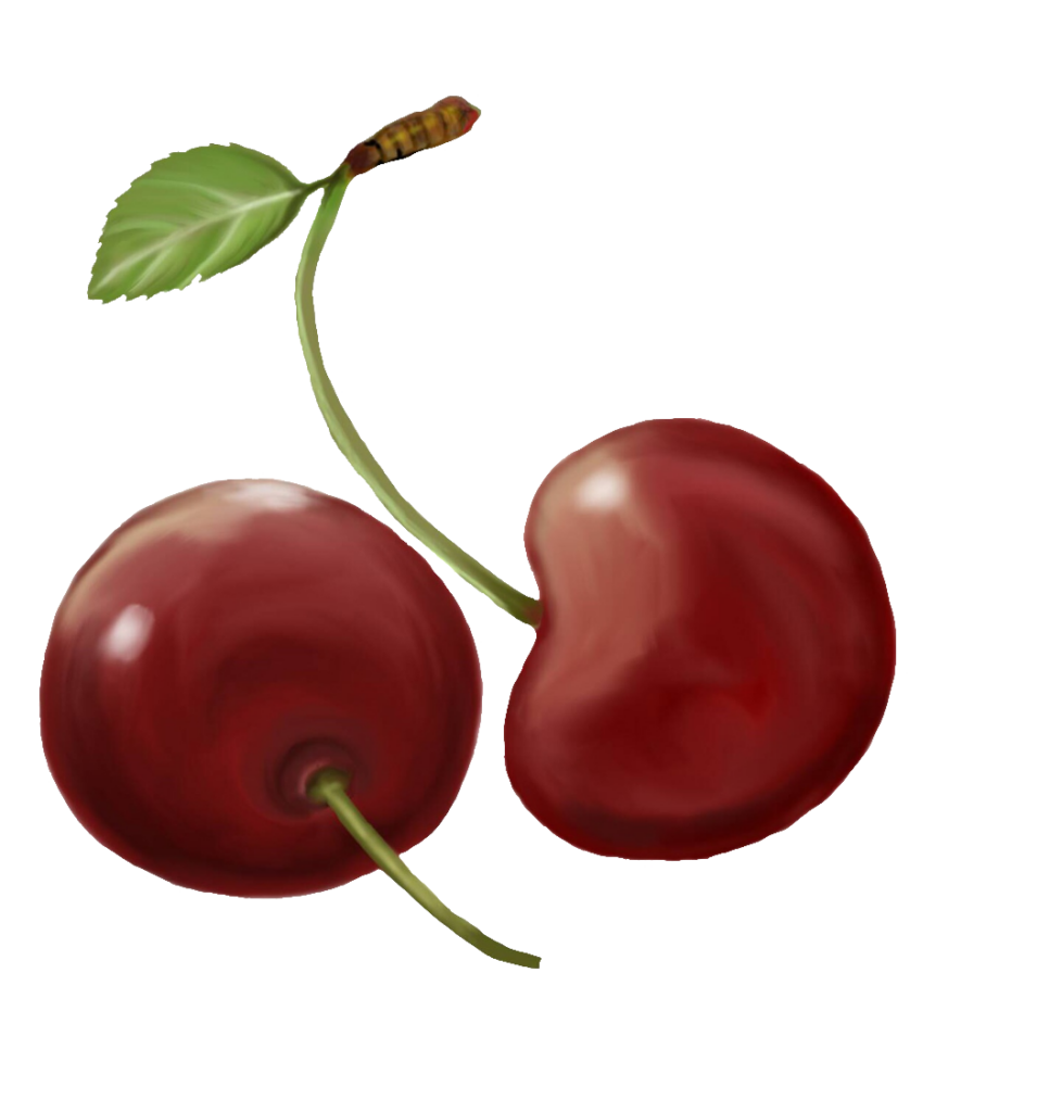Watercolor Two Cherry Drawing PNG