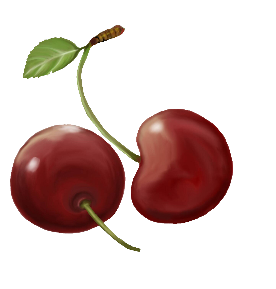 cherry-33