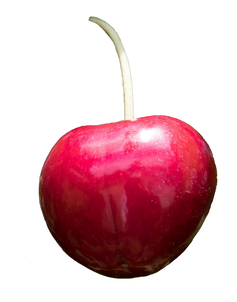 Single Cherry Fruit PNG
