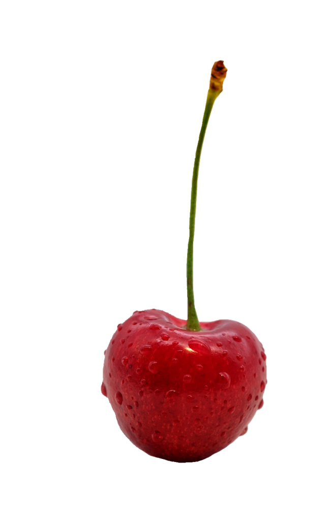 Single Cherry PNG