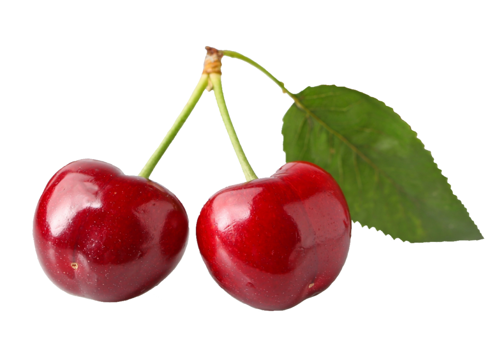 Two Cherries PNG