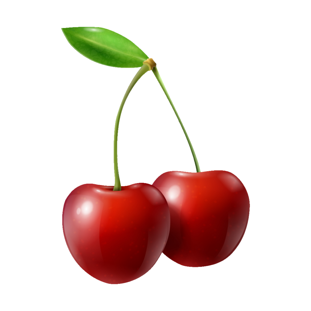 Cherry Clipart PNG