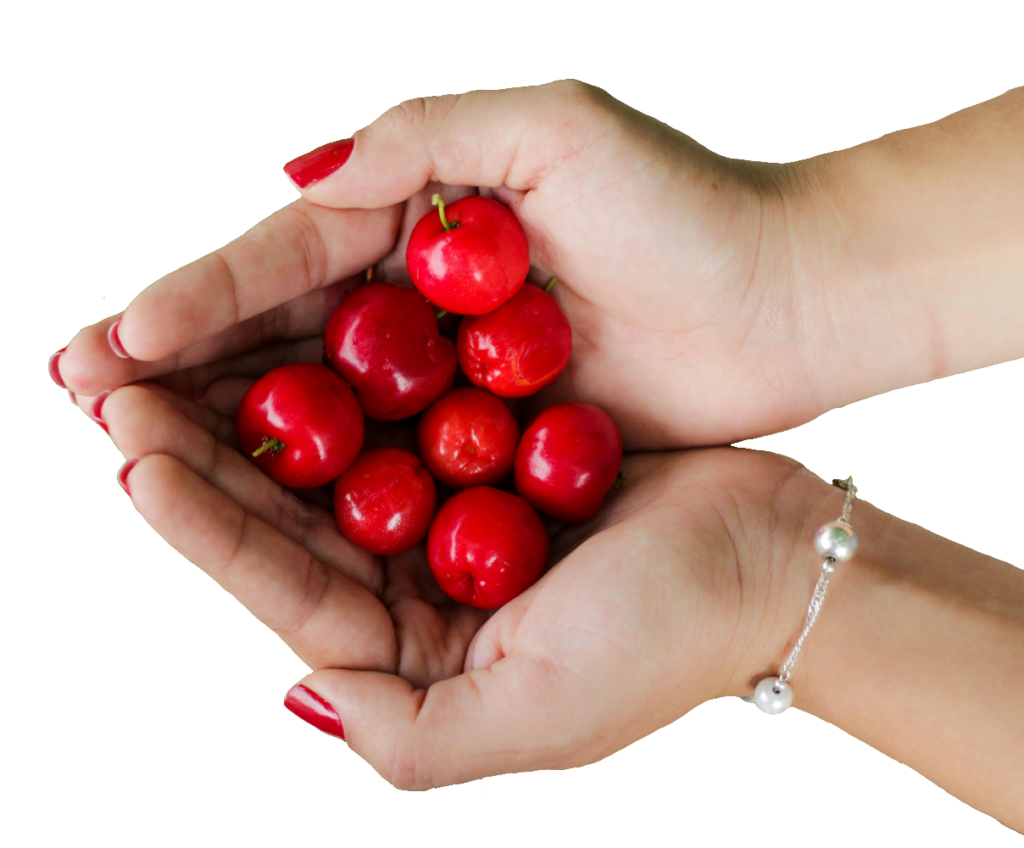 Cherries in Hands PNG
