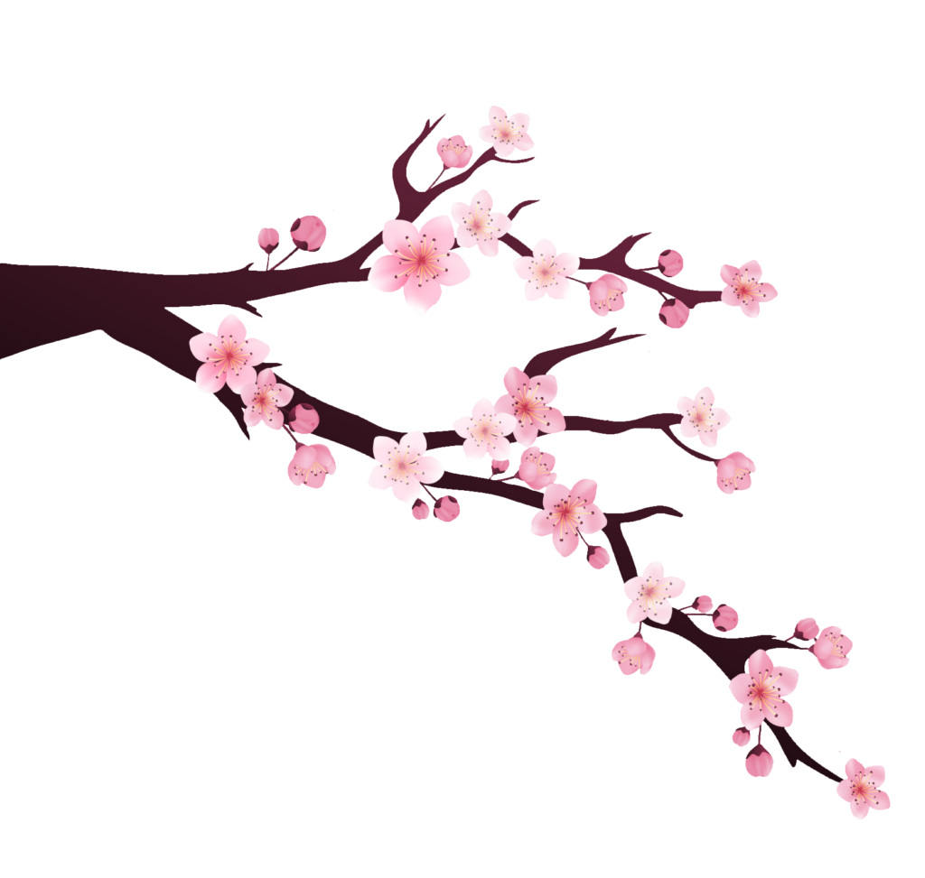 Cherry Blossom branch clipart PNG