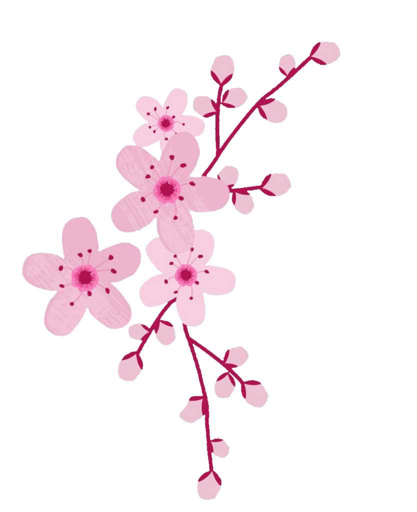 Cherry Blossom art PNG