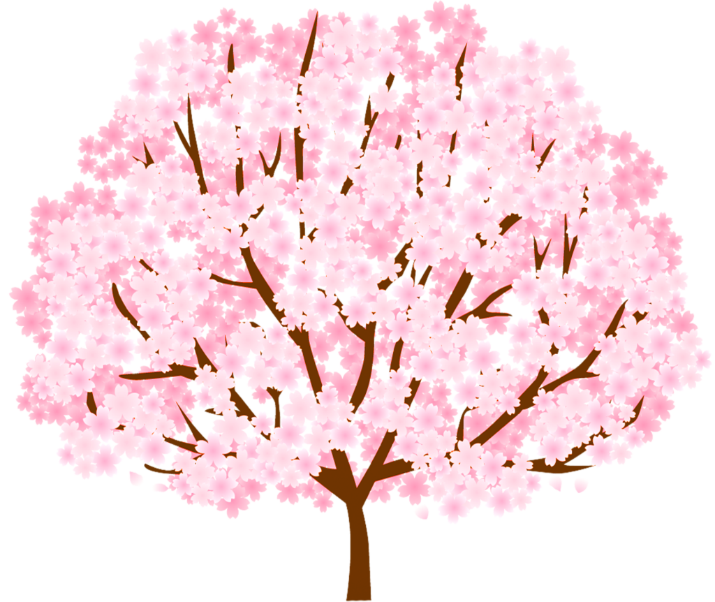 Cherry Blossom tree vector PNG