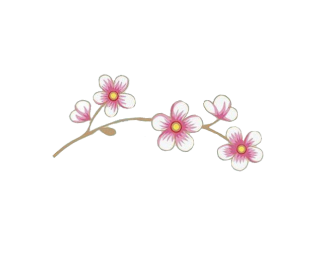 Cherry Blossom design PNG