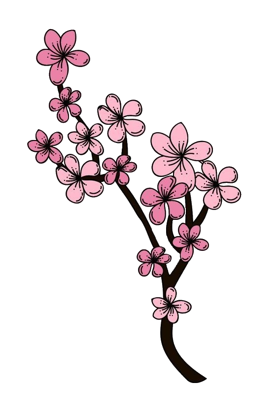 Cherry Blossom flowers clipart PNG