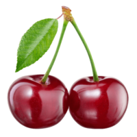 Cherry PNG