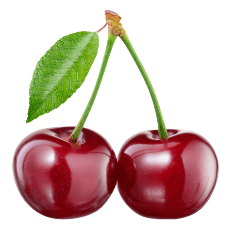 Cherry PNG