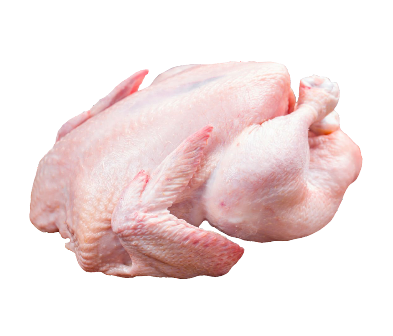 chicken-36