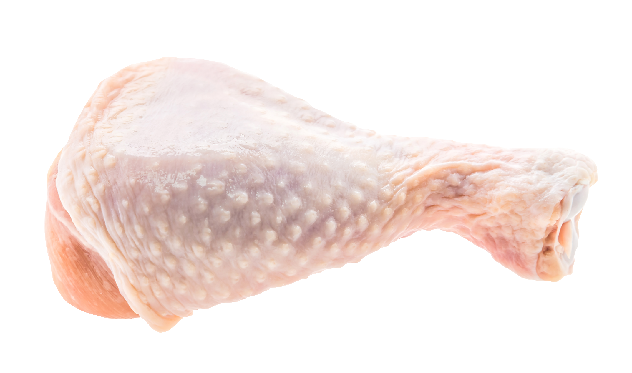 chicken-39