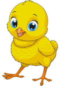 cute Chicken clipart Png