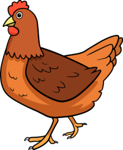 Chicken clipart Png