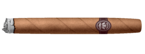 Animated Lit Cigar PNG