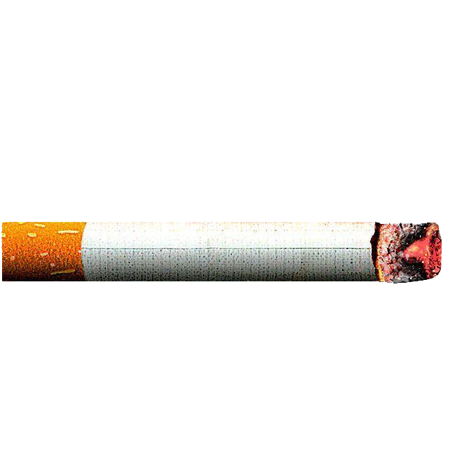 Realistic Cigarette PNG