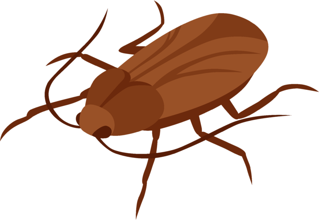 Cockroach PNG Vector