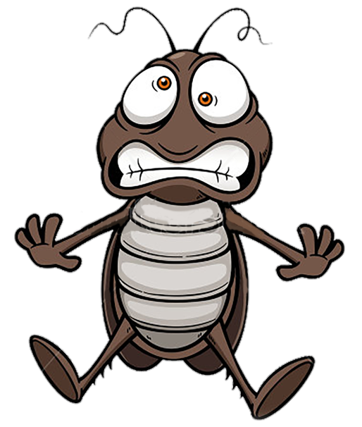 Cockroach PNG clipart
