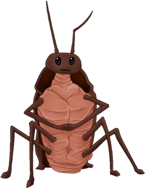 Cockroach PNG clipart