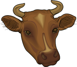 Cow Face Png Logo