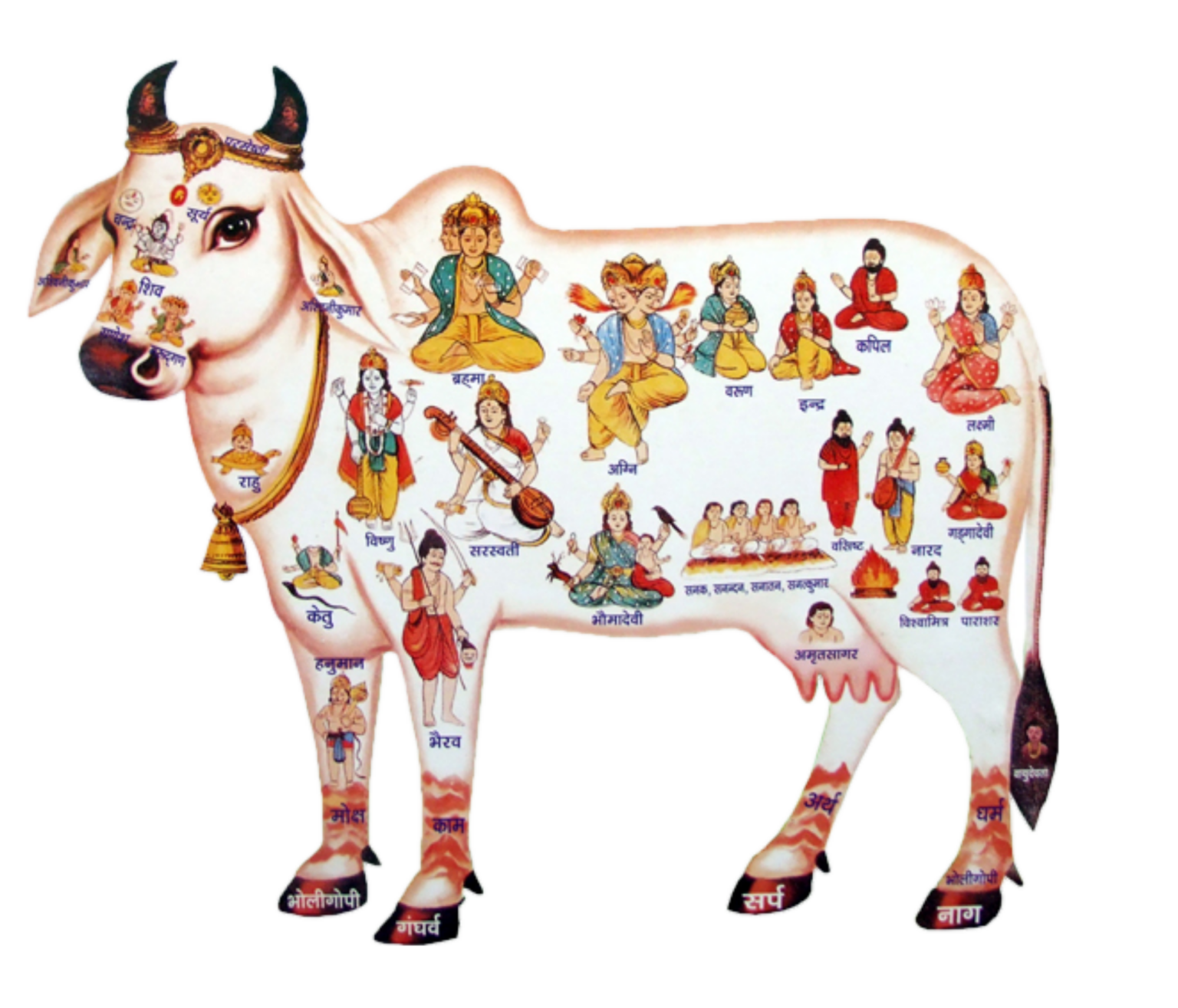 Cow PNG Transparent Images Free Download - Pngfre