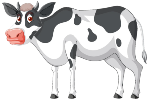 Animal Cow Png