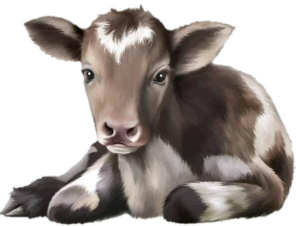 cow-png-from-pngfre-27