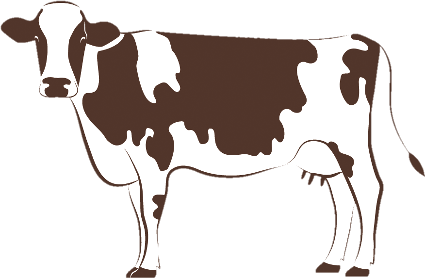 Cow Png Drawn
