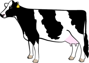 Drawn Cow Png
