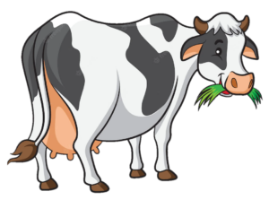 Cartoon Cow Png